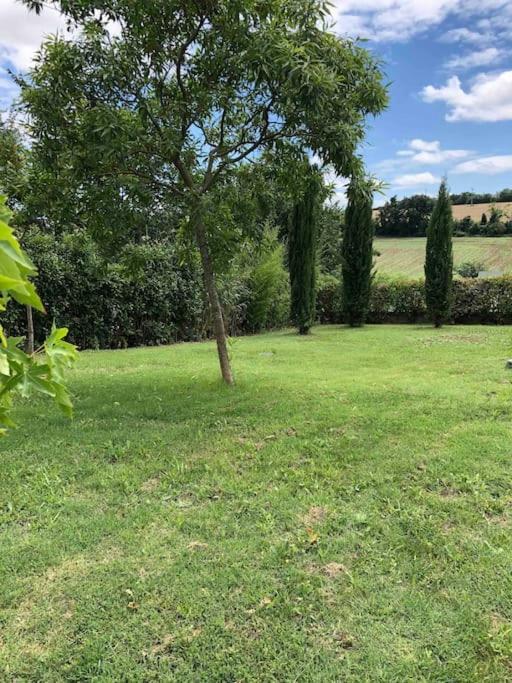 Appartement Indépendante Au Cœur D’un Jardin Arboré. *